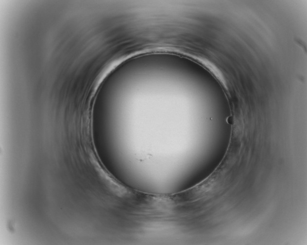 X0000095910911200801181353