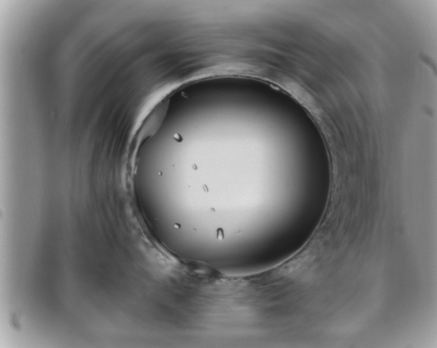 X0000095910912200801181353