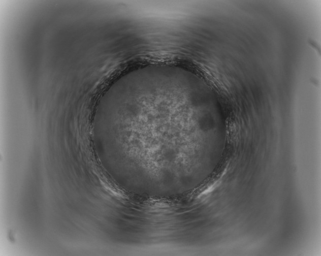 X0000095910913200801181352