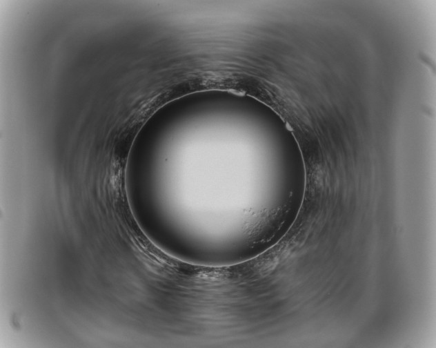 X0000095910914200801181352