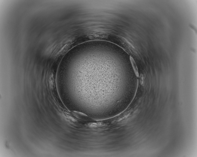 X0000095910915200801181352