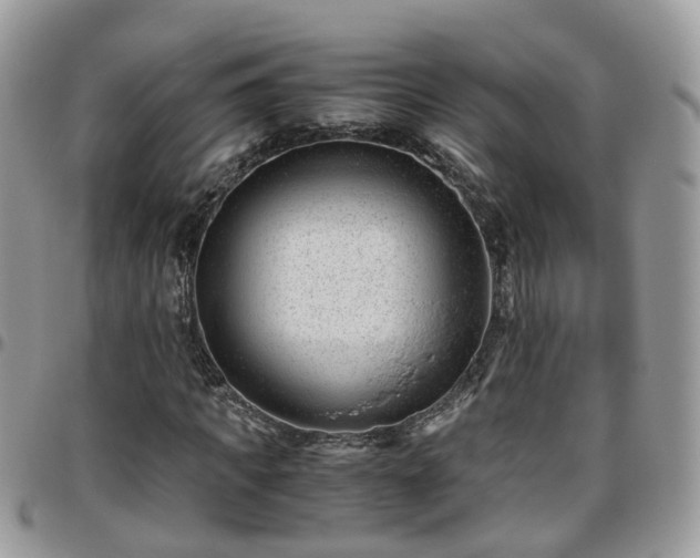 X0000095910917200801181352