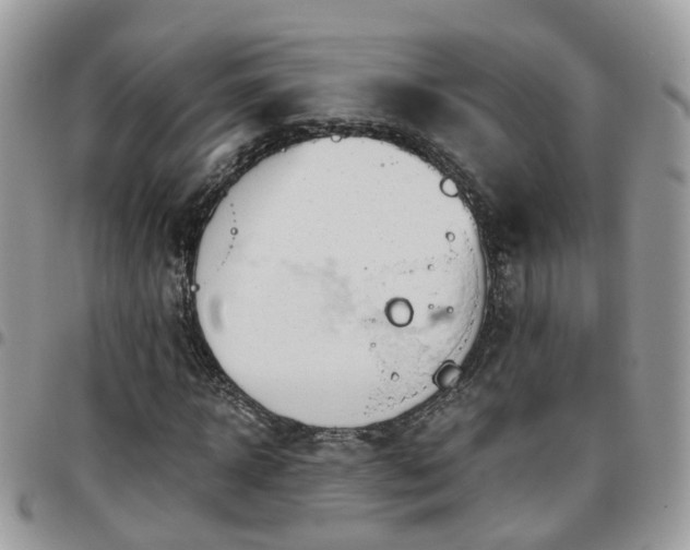 X0000095910918200801181352