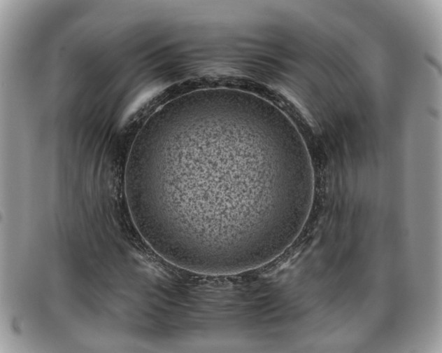 X0000095910919200801181352