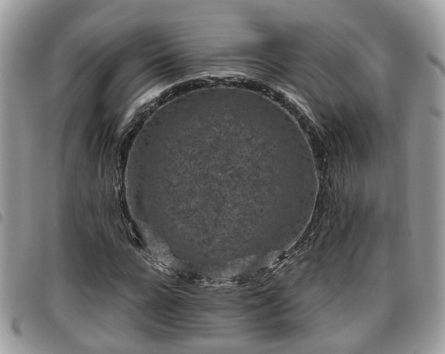 X0000095910920200801181352