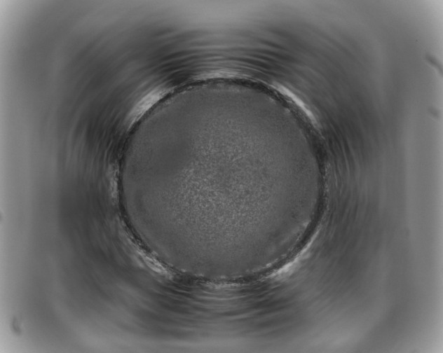 X0000095910921200801181352