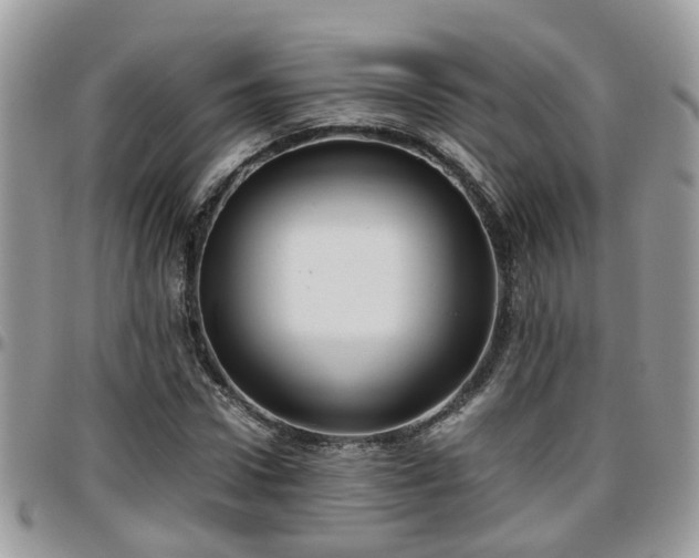 X0000095910922200801181352