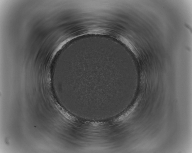 X0000095910923200801181352