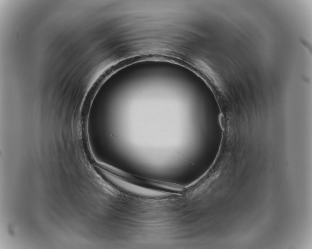 X0000095910924200801181352