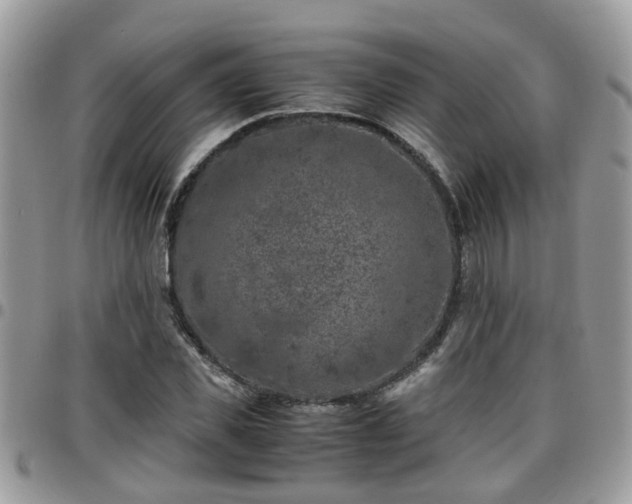 X0000095910925200801181352