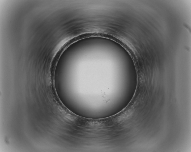 X0000095910927200801181352