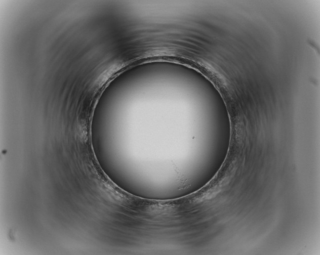 X0000095910929200801181352