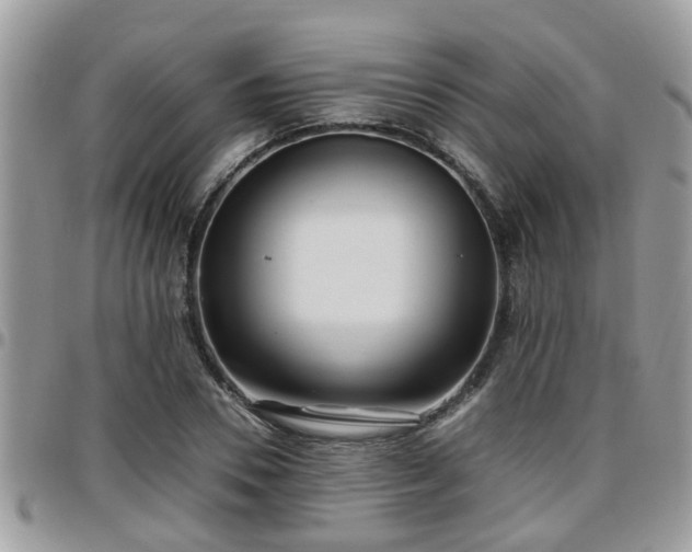 X0000095910930200801181352