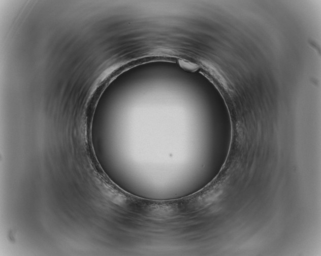 X0000095910931200801181352