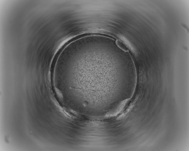 X0000095910932200801181352