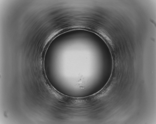 X0000095910933200801181352