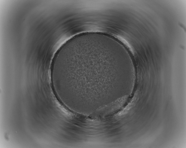 X0000095910935200801181352