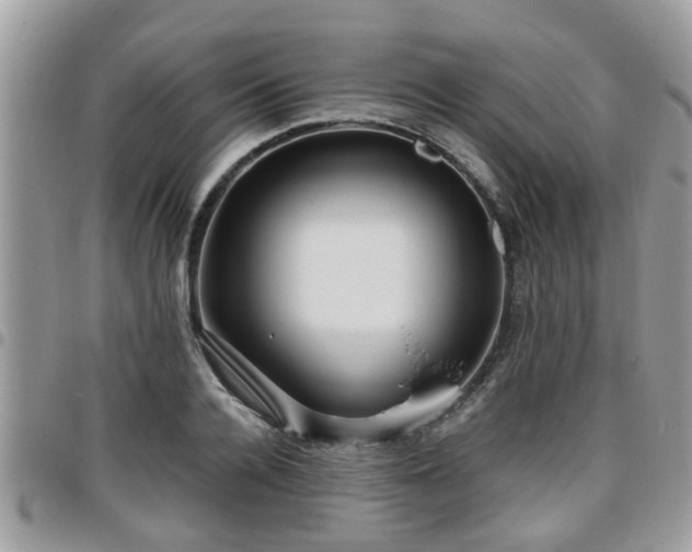 X0000095910936200801181352