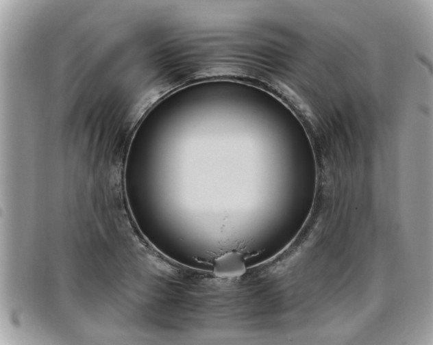 X0000095910937200801181352