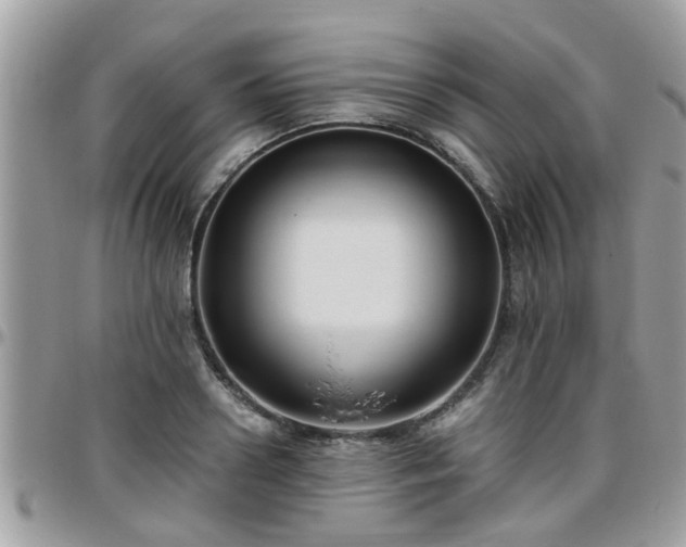 X0000095910938200801181352