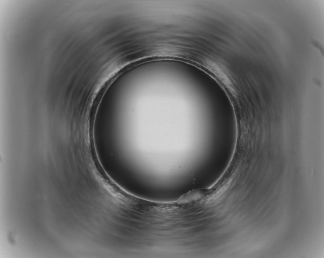 X0000095910939200801181352