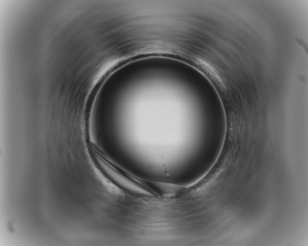 X0000095910942200801181353