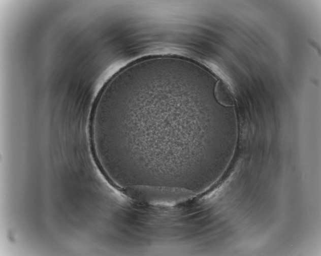 X0000095910943200801181353