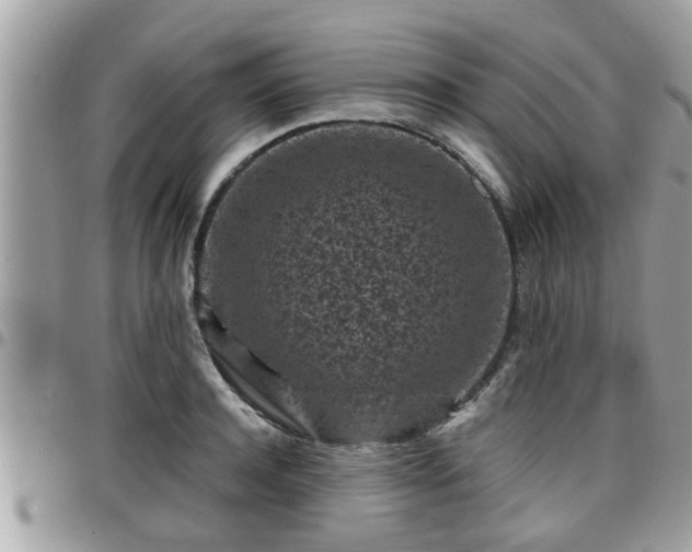 X0000095910944200801181353