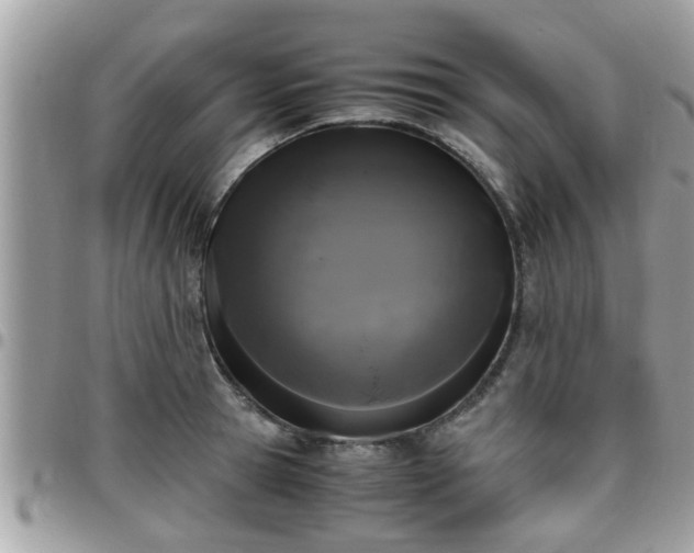 X0000095910945200801181353