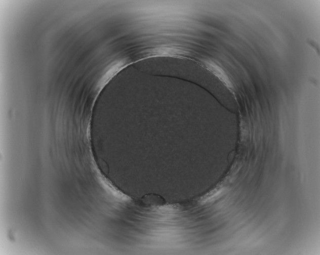 X0000095910946200801181353