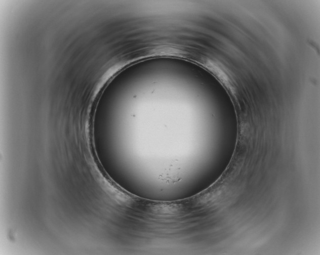 X0000095910947200801181353