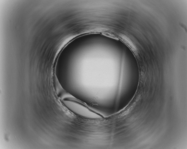 X0000095910948200801181353