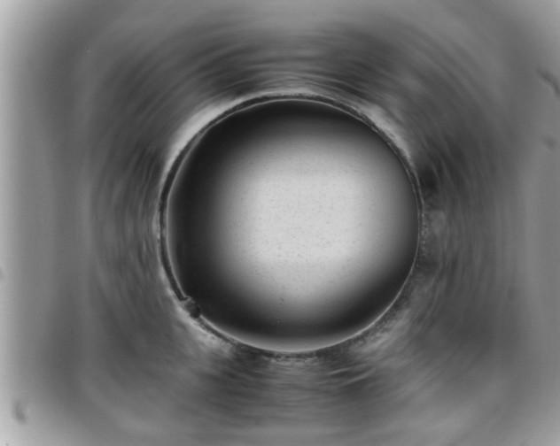 X0000095910951200801181353