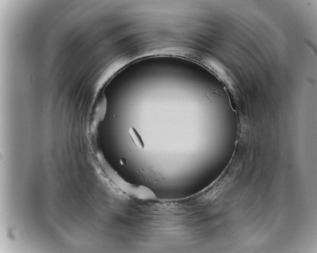 X0000095910952200801181353