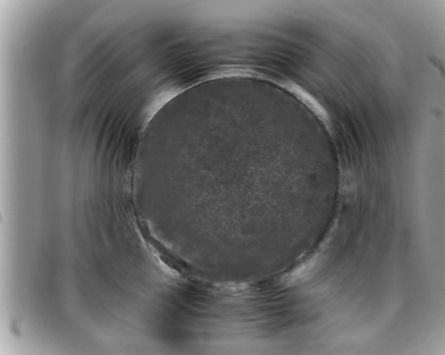 X0000095910953200801181353