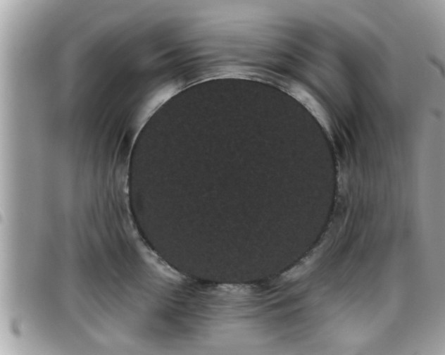 X0000095910954200801181353