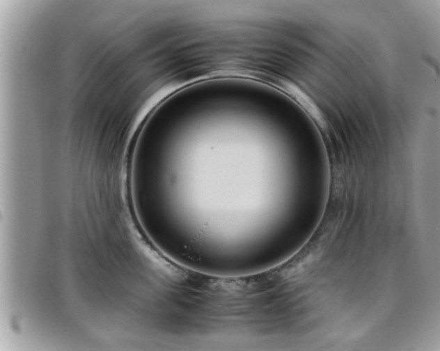 X0000095910955200801181353