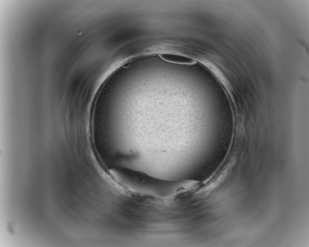 X0000095910957200801181353