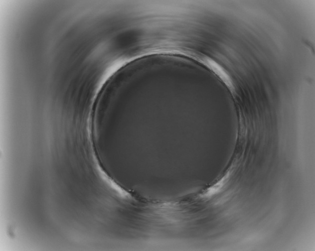 X0000095910958200801181353