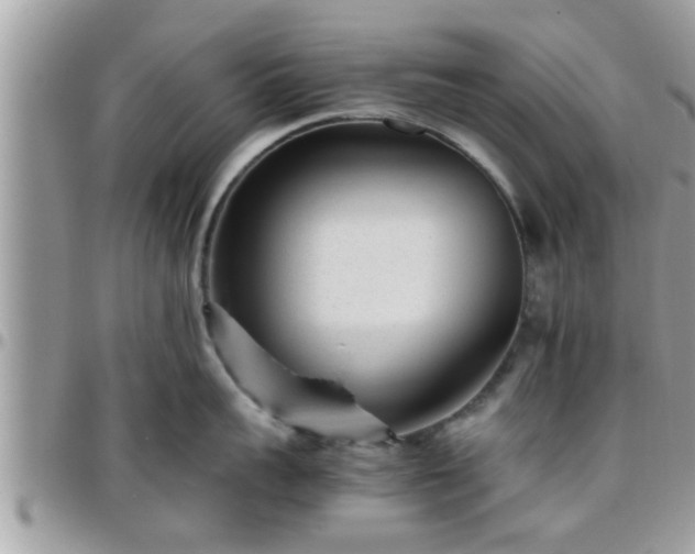 X0000095910959200801181353