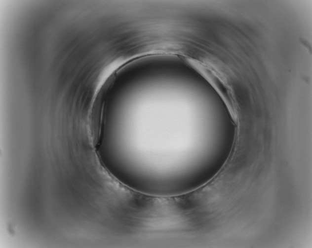 X0000095910960200801181353