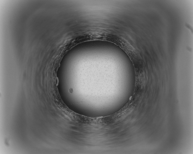 X0000095910961200801181352