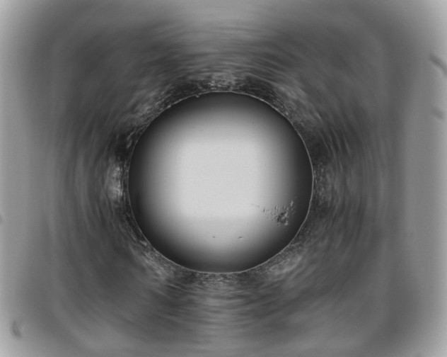 X0000095910962200801181352