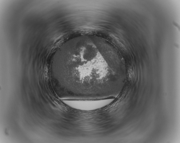 X0000095910964200801181352