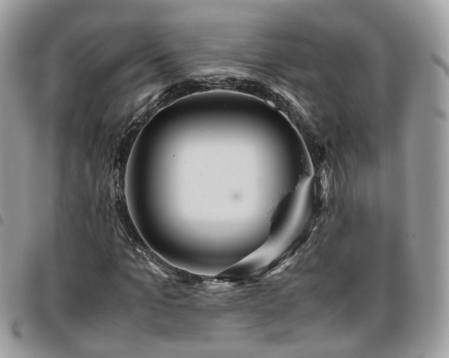 X0000095910965200801181352