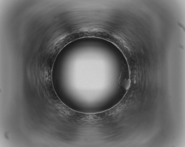 X0000095910966200801181352