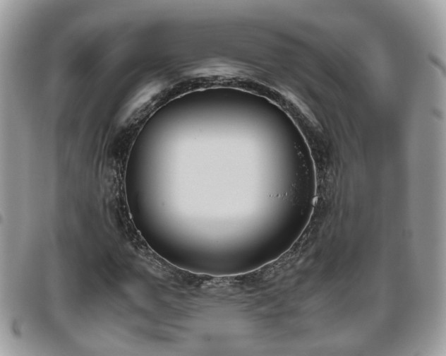 X0000095910967200801181352