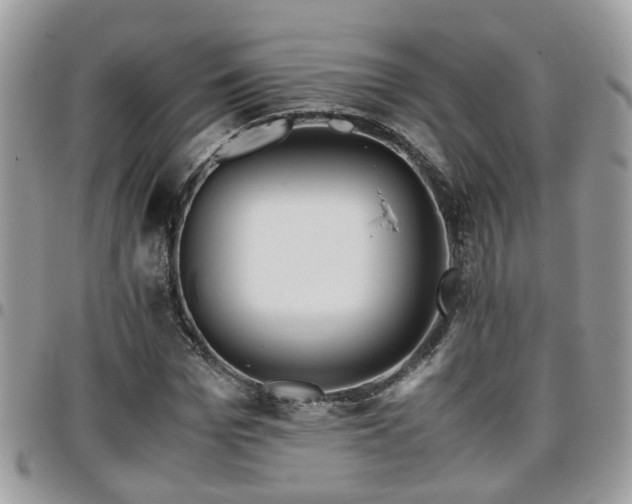 X0000095910969200801181352