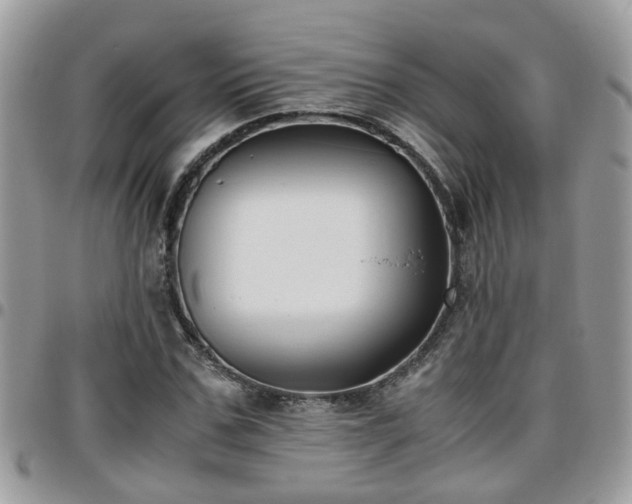 X0000095910971200801181352