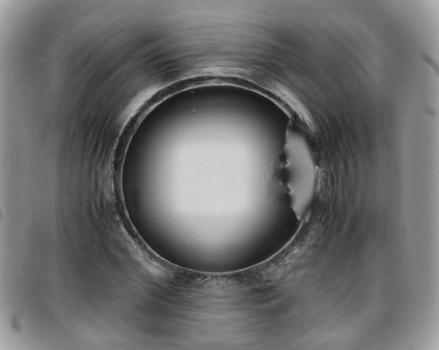 X0000095910972200801181352